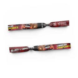 Pulsera Carrera de Campeones 2025